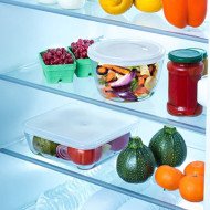 Boite de Conservation Plat à Four Carré en verre avec Couvercle 20x20c