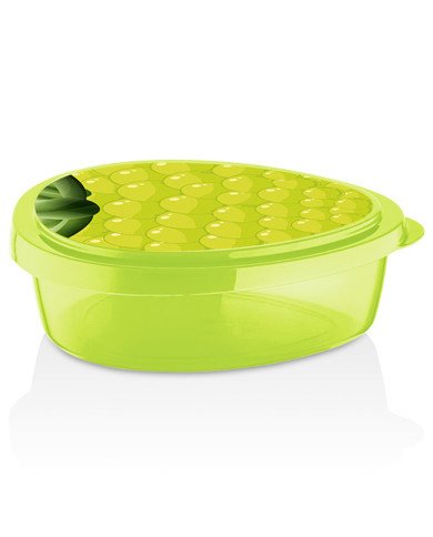 Boite de Conservation Raisin 800ml - QLUX Boite de Conservation Raisin 800ml - QLUX