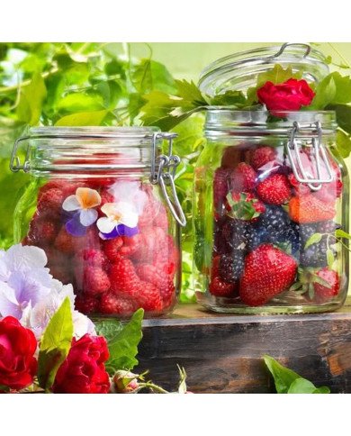 Bocal en Verre avec Fermeture Hermétique 5 Litres Fido - BORMIOLI Bocal en Verre avec Fermeture Hermétique 5 Litres Fido - BORMIOLI