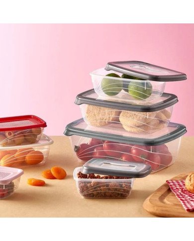 Boite de Conservation Rouge Bio Saver 600 ml - QLUX Boite de Conservation Rouge Bio Saver 600 ml - QLUX