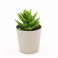 Pot à Fleur Artificielle Petit Modelé Vert Eva - CASADECO