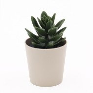 Pot à Fleur Artificielle Petit Modelé Vert Eva - CASADECO