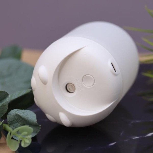 Diffuseur d'Huile Essentielle et Humidificateur d’Air LED – Design Mig