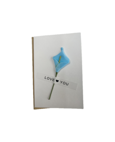 Carte de vœux décorée fleurs et plumes séchées