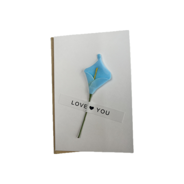 Carte de vœux décorée fleurs et plumes séchées