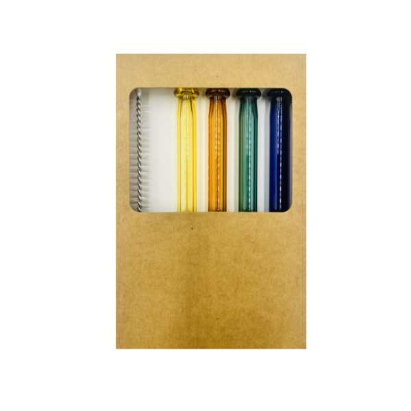 Lot de 4 pailles en verre avec nettoyeur