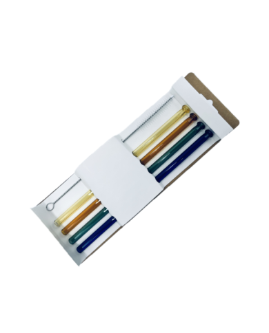 Lot de 4 pailles en verre avec nettoyeur