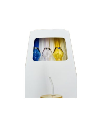 Lot de 3 pailles en verre avec nettoyeur