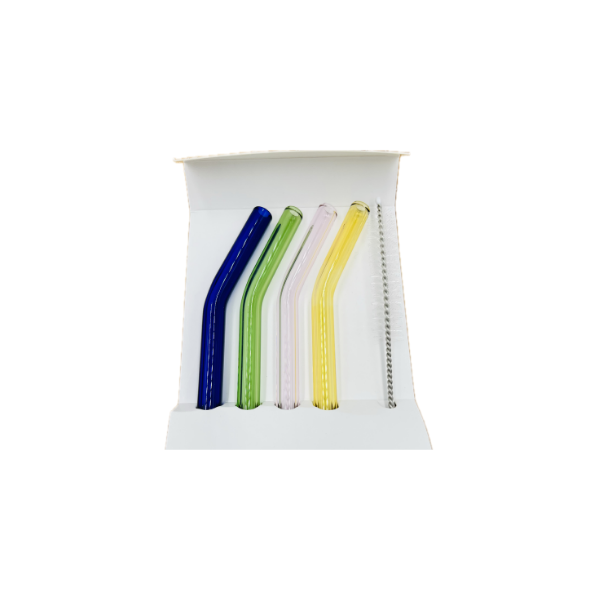 Lot de 4 pailles en verre avec nettoyeur