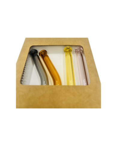Lot de 4 pailles en verre avec nettoyeur