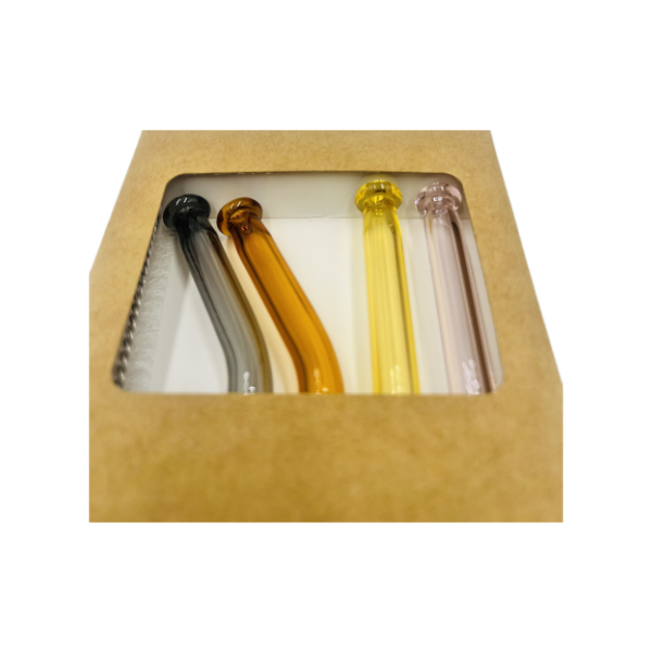 Lot de 4 pailles en verre avec nettoyeur