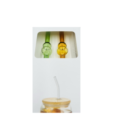 Lot de 2 pailles en verre avec nettoyeur