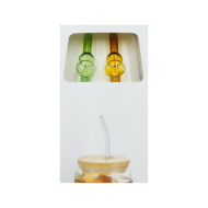 Lot de 2 pailles en verre avec nettoyeur