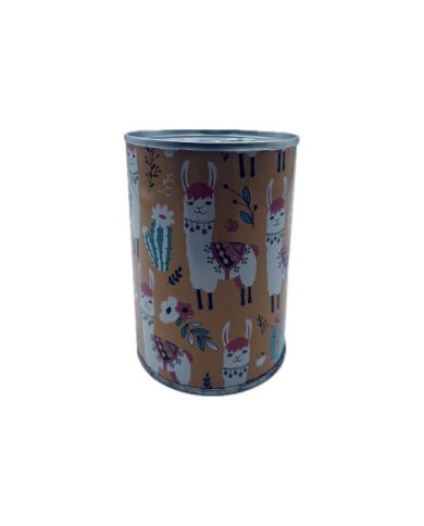 Tirelire métallique enfant en forme de canette