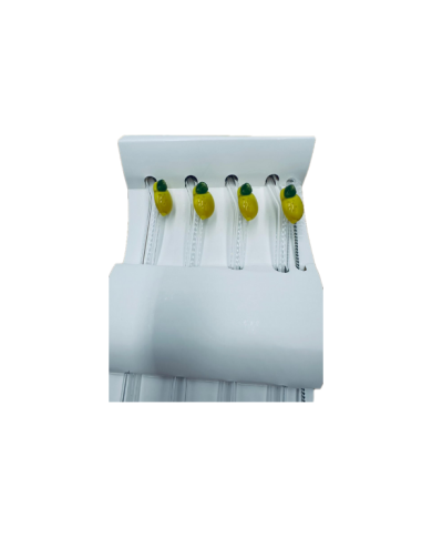 Lot de 4 pailles en verre avec nettoyeur citron