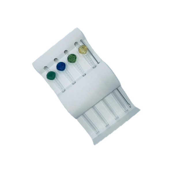 Lot de 4 pailles en verre avec nettoyeur coquillage