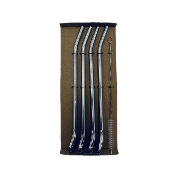 Lot de 4 pailles en métal avec nettoyeur