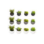 Plante grasse aimantée décorative – Décoration moderne