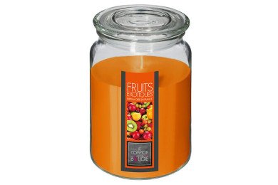 Bougie parfumée Nina fruits exotiques