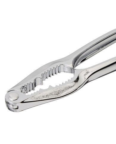 Casse-noisette en Acier Inoxydable - FACKELMANN Casse-noisette en Acier Inoxydable - FACKELMANN