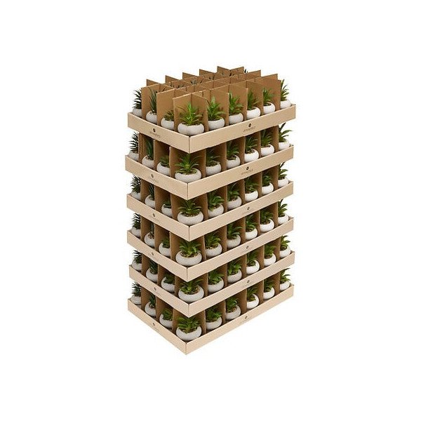 Plante décorative en ciment – Look contemporain