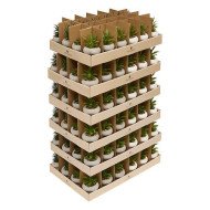 Plante décorative en ciment – Look contemporain