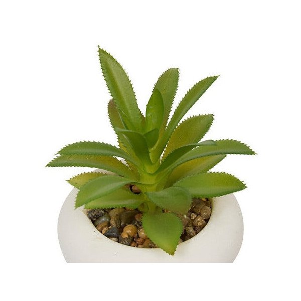 Plante décorative en ciment – Look contemporain