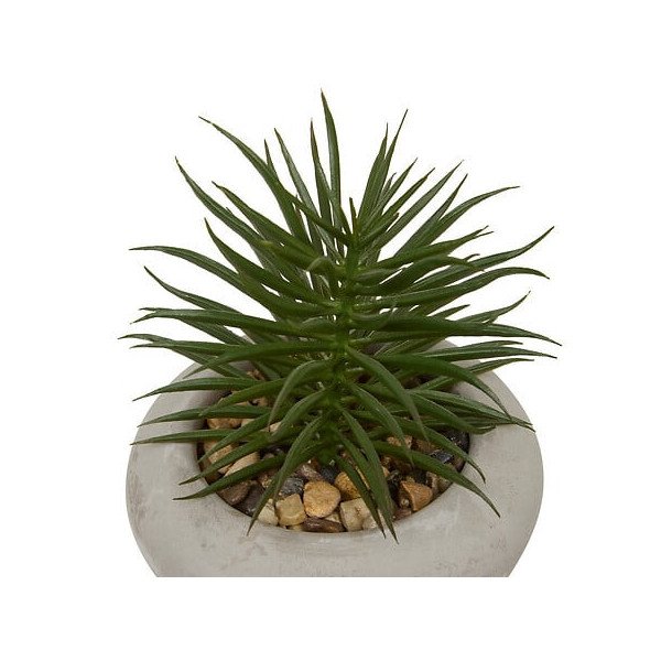 Plante décorative en ciment – Look contemporain