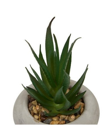 Plante décorative en ciment – Look contemporain