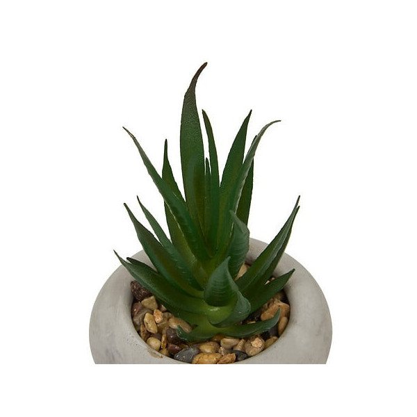 Plante décorative en ciment – Look contemporain