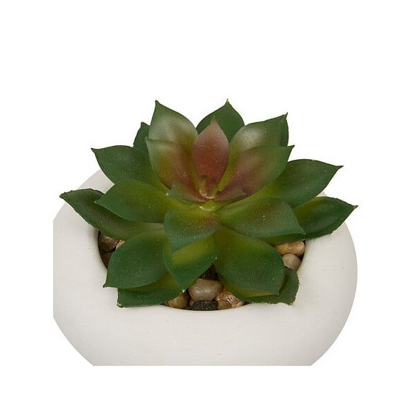 Plante décorative en ciment – Look contemporain