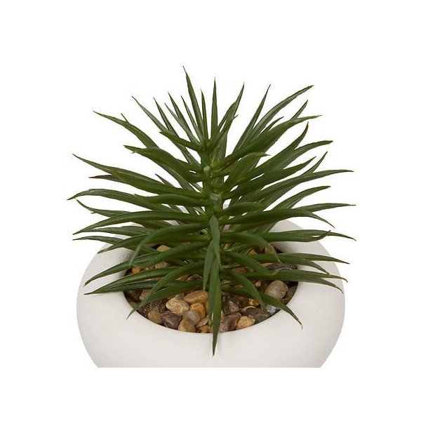 Plante décorative en ciment – Look contemporain