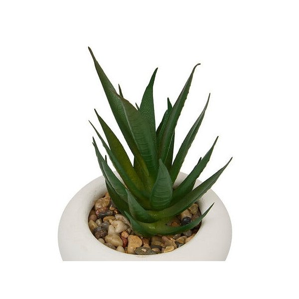 Plante décorative en ciment – Look contemporain