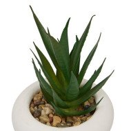 Plante décorative en ciment – Look contemporain