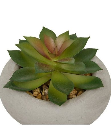 Plante décorative en ciment – Look contemporain