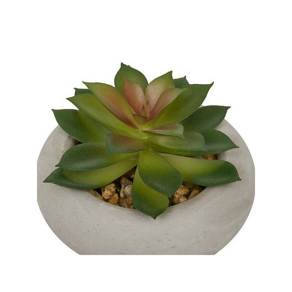 Plante décorative en ciment – Look contemporain