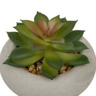 Plante décorative en ciment – Look contemporain