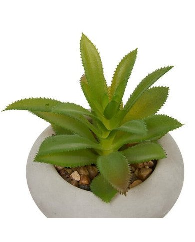 Plante décorative en ciment – Look contemporain