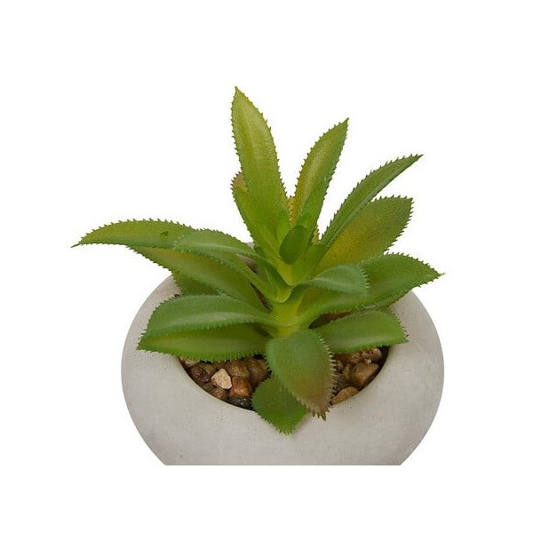 Plante décorative en ciment – Look contemporain