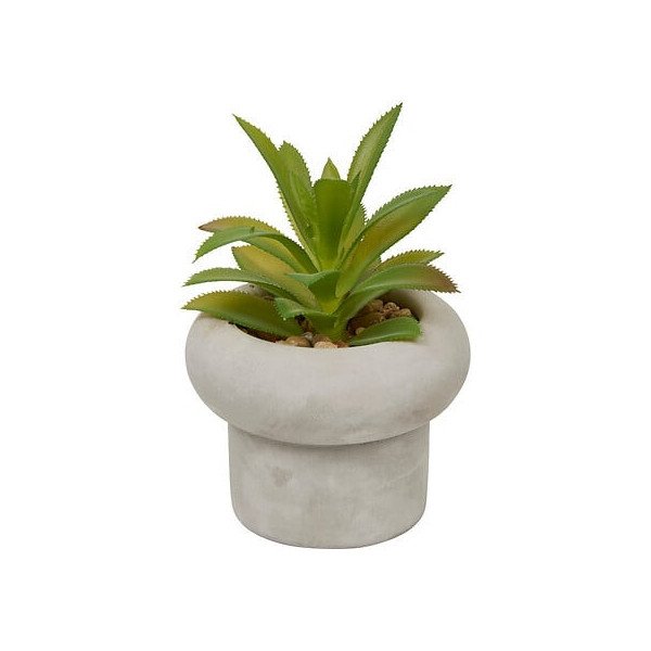 Plante décorative en ciment – Look contemporain