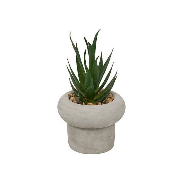 Plante décorative en ciment – Look contemporain