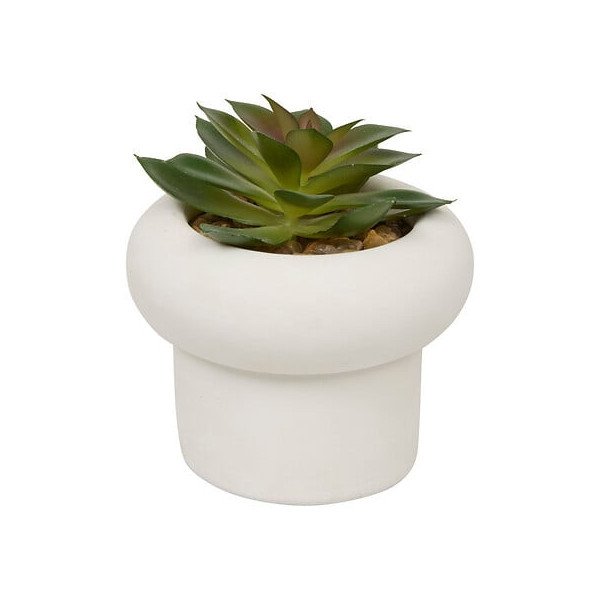 Plante décorative en ciment – Look contemporain