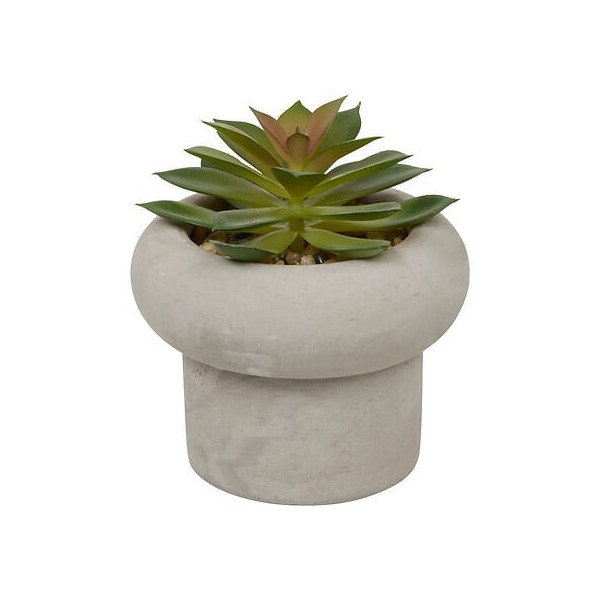 Plante décorative en ciment – Look contemporain