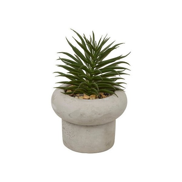 Plante décorative en ciment – Look contemporain