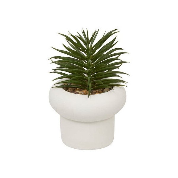 Plante décorative en ciment – Look contemporain