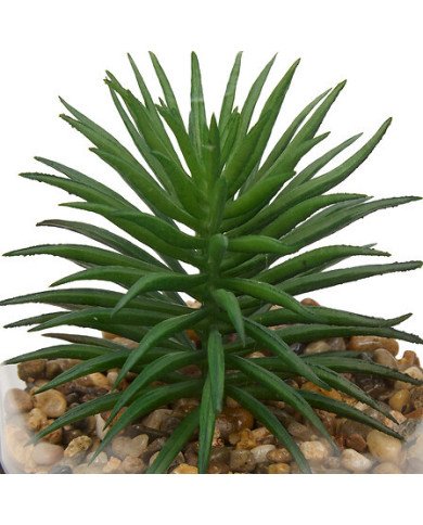 Suspension décorative pour plante – Style naturel