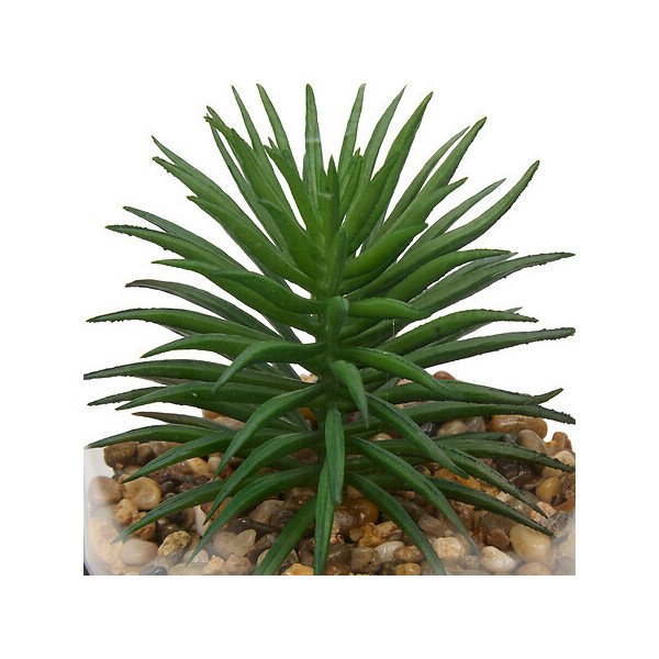 Suspension décorative pour plante – Style naturel