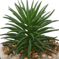 Suspension décorative pour plante – Style naturel