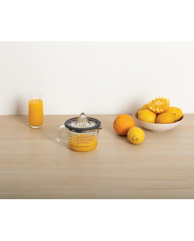 Presse-agrumes Néo 0,5 L en verr