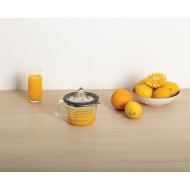 Presse-agrumes Néo 0,5 L en verr